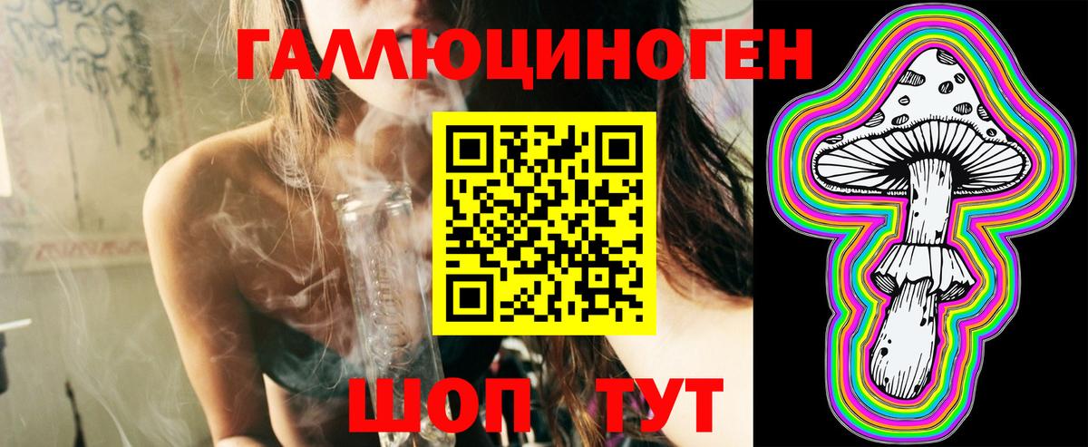 Галлюциногенные грибы Cubensis Муром