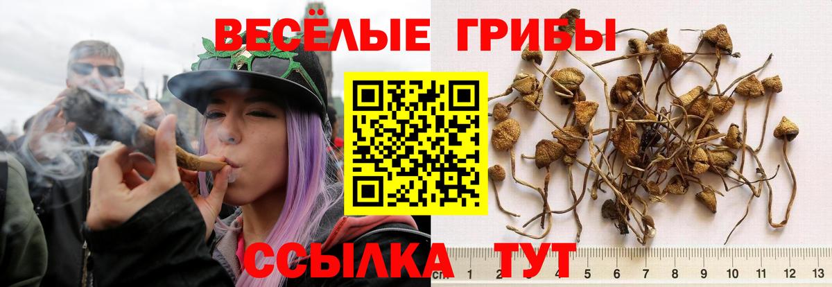 Галлюциногенные грибы ЛСД  Вход с VPN  Галлюциногенные грибы GOLDEN TEACHER  наркота  Муром 